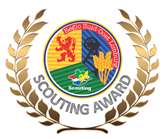 Scouting Awards 2020